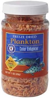 San Francisco Bay Brand ASF71210 Freeze Dried Plankton for Fresh and Saltwater Fish, 28gm
