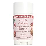 A Lot Like Christmas Magnesium Zinc Deodorant (2.7 ounce) - Phthalate Free Fragrance - Lasts All Day with a Spicy Sweet Scent