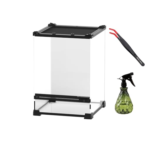AQUA DAREN Reptile Tall Glass Terrarium Rainforest Habitat Single Door with Screen Ventilation,Small Reptile Terrarium for Spiders, Tarantulas, Snail, Mantis, Lizard (10 * 10 * 13.8 inch)