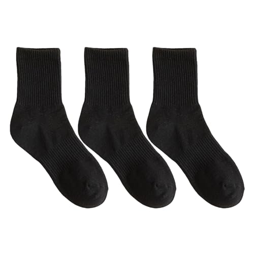 fB[X ~bhJ[t \bNX - ~ H  _炩 f  3 Zbg -  JWA J[t\bNX | j  FB  q  NX}X a VN C[X^[