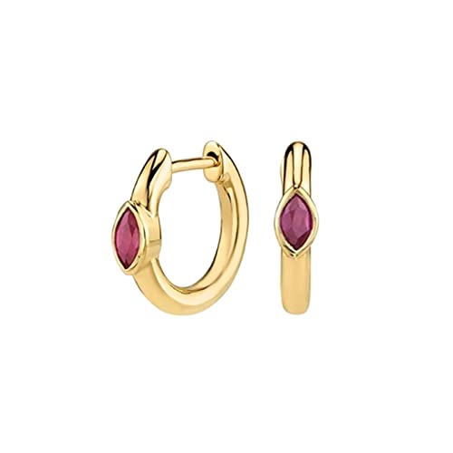 Boucles d'oreilles cerceaux Silver 925 pour femmes en zircon