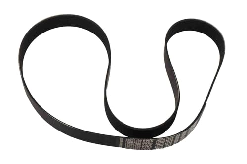 Courroie ACDelco 12667356 GM robuste à nervures multiples