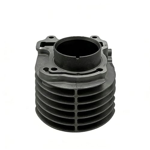 Kit cylindre moto DIO VI 110 pour stopper les fuites et fumées NSC110 - 4