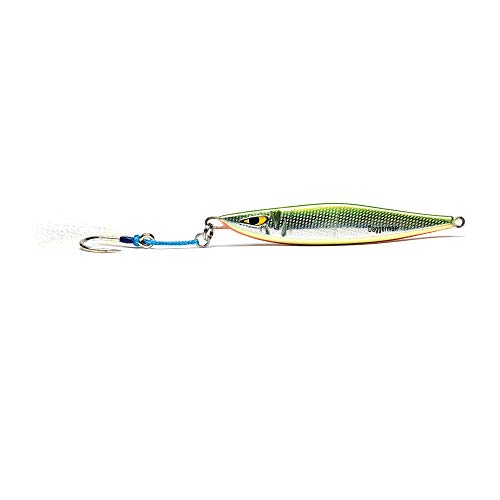 Mustad Daggerman Jig pour pêcher droit malgré le courant marin fort
