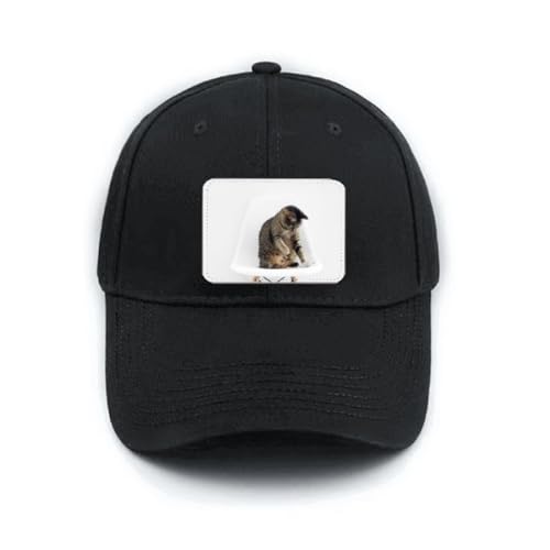 Casquette baseball noire visière courbe et motif chat discret