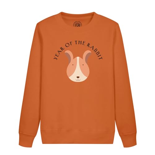 Sweat enfant signe chinois lapin pour célébrer son année de naissance