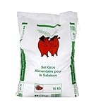 K+S Gros Sel de Salaison 10kg/Sac - Livraison Gratuite France (1 sac)