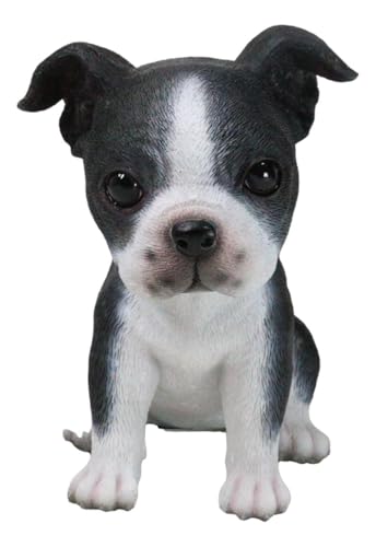 Ebros Gift Realistic Tuxedo Black and White Boston Terrier Puppy Dog Home Decor Figurine 5.75" Tall Animal Collectible Lifelike Boston Terrier Sculpture