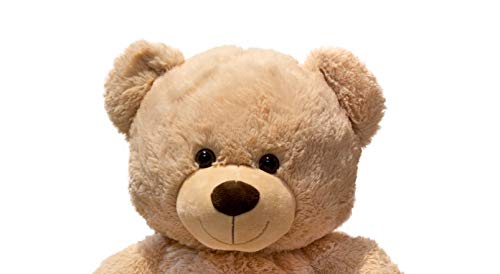 Lifestyle & More Riesen Teddybär Kuschelbär XXL 100 cm groß Plüschbär Kuscheltier samtig weich