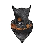 LfearTesa