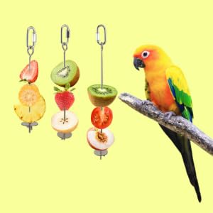 FENGCHUANG Lot De 3 Porte Brochettes De Fruits Des Oiseaux, Outils Pour
