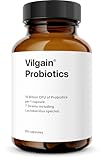 Vilgain Probiotika - 10 Bakterienkulturen + Inulin - 20 Mrd. KBE, magensaftresistent, Darmflora, 60 Kapseln - Hochdosiert, Laktosefrei, Probiotikum - Vegan, Ballaststoffe, Für Erwachsene & Senioren