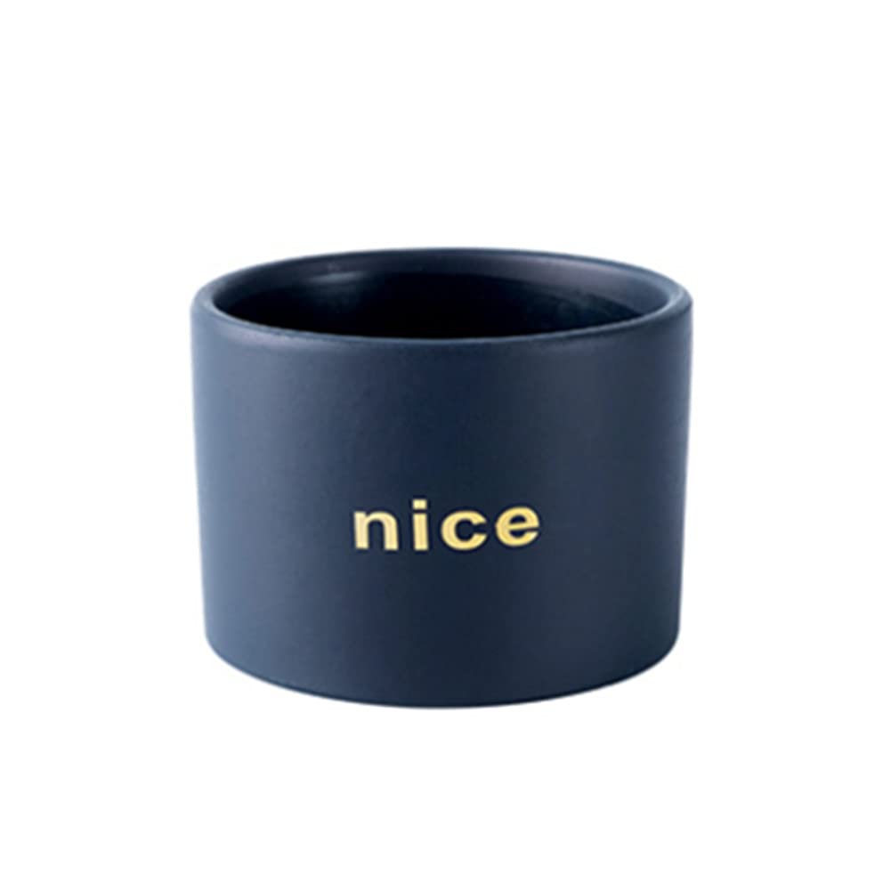 NTPHNB Creative Simplicity Ceramic Cactus Succulent Planter Pot Container Small (T)