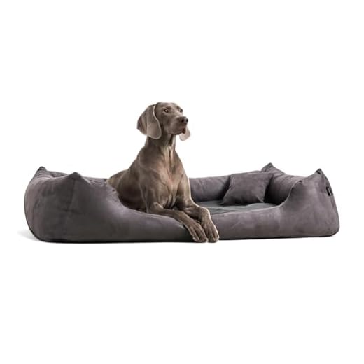 JAMAXX Premium Hundebett Orthopädisch Memory Visco Schaum Waschbar Wendekissen Wasserabweisend/Hundekörbchen Weicher Samtartiger Sofa Stoff Hundekissen Hundekorb PDB2002 (90x70 (M), braun) 8 tierlando® Orthopädisches Hundebett Pluto Ortho VISCO Viscoschaum aus weichem Velours Größe: PLV4 110x90 cm | B Farbe: 02 Graphit