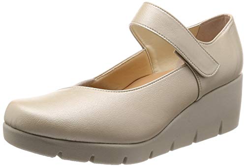 [t@[XgR^Ng] pvX { r JWApvX fB[X  fB[X AC{[ 23 cm