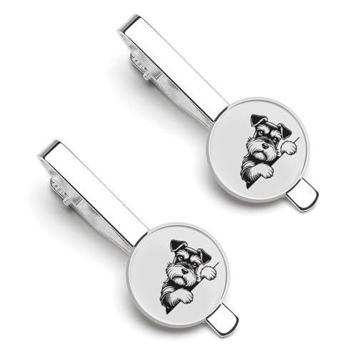 lN^Cs 2{Zbg ViEU[  ^C^bN ߑANZT[ am   w d rWlX  ̓ Y j v[g