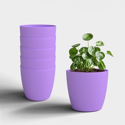 Image of YUCCABE ITALIA SHERA Stella 5 Inch Plastic Plant Pot for Home Decor Indoor Plant Pots for Living Room Plastic Flower Pot for Garden (Lavender, 5 INCH - 6 Pcs)