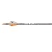 Victory Archery VAP 300 V1 Archery Arrow (6-Pack), Black
