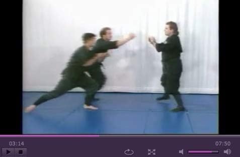SHODAN 1ST Degree Bujinkan Budo Taijutsu - Richard Van Donk