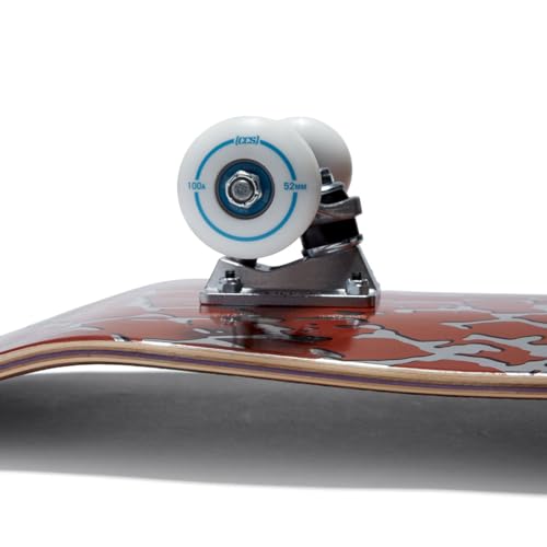 Image of [CCS] Skateboard Complete | Maple Wood | Professional Grade | Fully Assembled with Skate Tool & Stickers | Adults, Kids, Teens, Youth | Boys & Girls