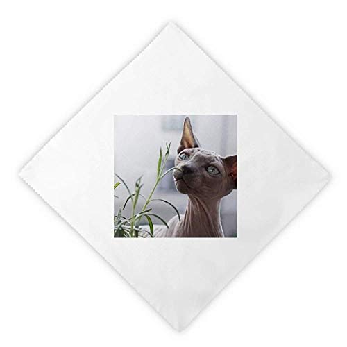 Serviette de table chat réutilisable pour dîner et pique-nique
