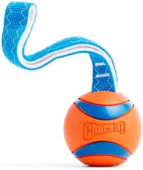 Chuckit! Ultra Tug Dog Toy, Durable Nylon Cord Handle, Large 3-in...