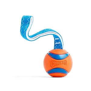 Chuckit! Ultra Tug Dog Toy – Ultra Ball on a Durable Nylon Cord Handle – Fetch and Tug-of-War Toy for Dogs – Size Large – For Breeds 60-100 lbs – 3-inch Diameter – Orange and Blue
