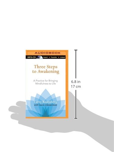 Three Steps to Awakening: a Practice for Bringing