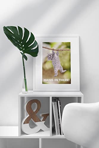 Hang In There Hanging Cat Poster Kitten Kitty Modern Wall Decor Picture Bedroom Home Living Room Cute Creative Graphic Print Gift Wall Art Painting Decor Cool Wall Decor Art Print Poster 12X18 #TOP3