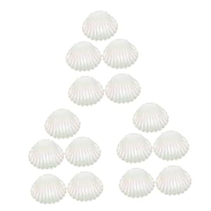 Homocono Muschel Bonbonservierer 15 Stück