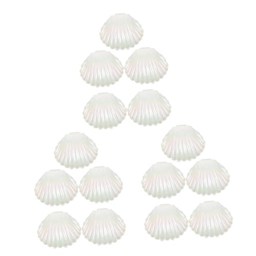 Homocono Muschel Bonbonservierer 15 Stück