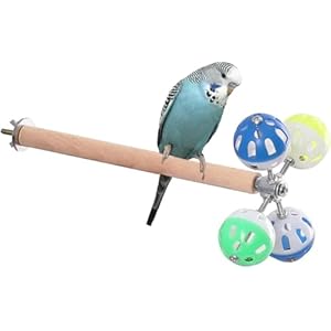 Bird Stand Perch Toy with Rotating Balls, Parrot Parakeet Perch Toys for Bird Cage, Spinning Bird Toys for Parakeets, Parrots, Cockatiels, Budgies, Budgerigars, Parrotlets, Lovebirds, Conures