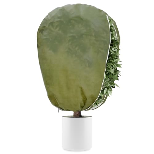 DEWUR 50 g/m², protezione invernale per piante in vaso, protezione antigelo, sacco di iuta per palme, pomodori, limone, oleandro, pianta, palma di canapa (verde, 100 x 120 cm)