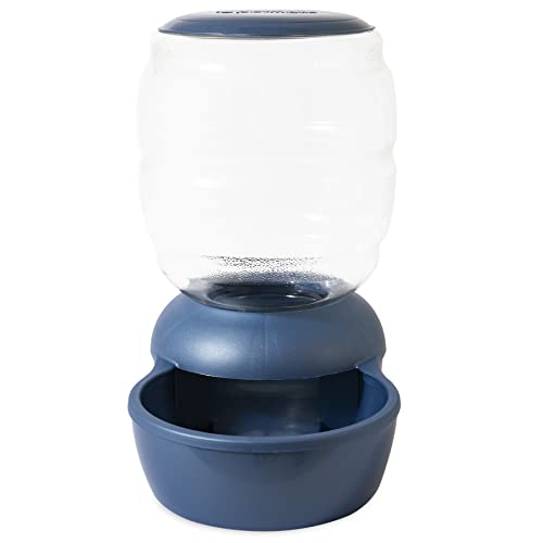 Top 10 Petmate Automatic Cat Feeders of 2022 Katynel