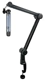 Audiosavings Bundle: (1) Blue Ember Side-Address Cardioid Condenser Studio Recording Microphone Mic Bundle with (1) Rockville Rogan Stand Pro Boom Arm Mic Stand with Fixed Mount+Stand+Cable (2 Items)