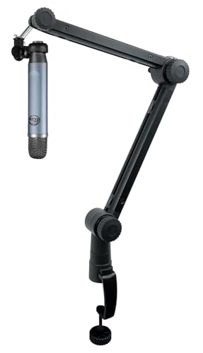 Audiosavings Bundle: (1) Blue Ember Side-Address Cardioid Condenser Studio Recording Microphone Mic Bundle with (1) Rockville Rogan Stand Pro Boom Arm Mic Stand with Fixed Mount+Stand+Cable (2 Items)