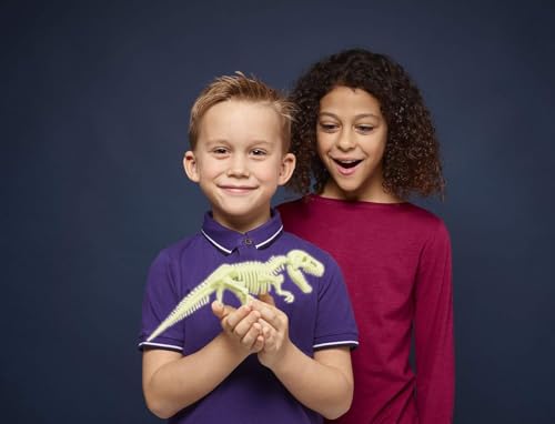 Image of Dino Fossil 3 In 1 Set - Multicolor