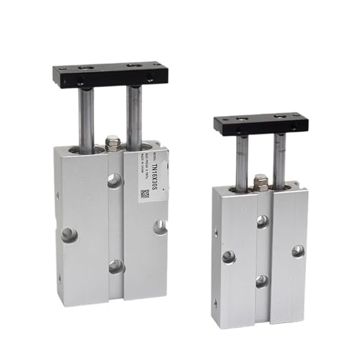 Cylindre pneumatique TN20 aimanté double tige course 40 mm