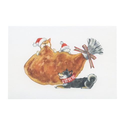 |XgJ[h ΂ʂƃNX}X cĉ y`Lz킢 CMP-361