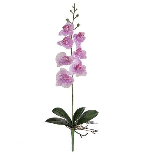 Orquídea Phalaenopsis Artificial, Haste Real Toque com Raiz, Flor...