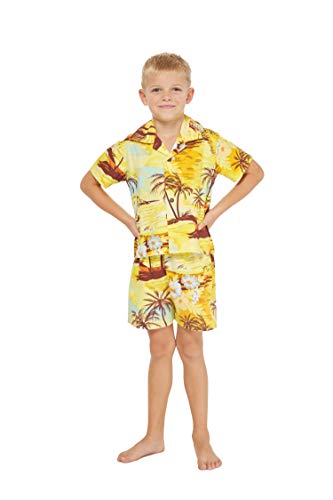 Hawaii Hangover Boy Aloha Luau Shirt Cabana Set in Sunset with Dolphin