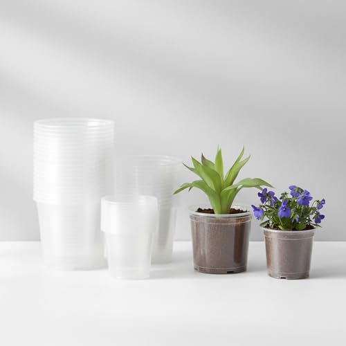 Pots de pépinière transparents plastique pour rempotage