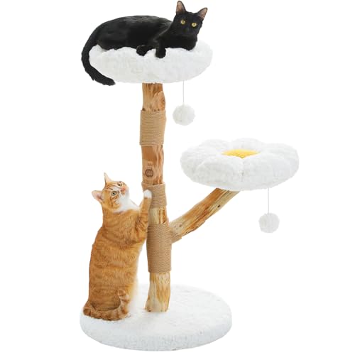 PAWZ Road Albero tiragraffi moderno in legno naturale, lussuoso albero tiragraffi moderno con 2 piattaforme, piccolo albero tiragraffi per gatti, bianco nuvole