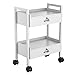 Salon Beauty Cabinet Cart Trolley 2-Layer Rolling Storage Drawer Organizer Wheels Lockable Tool Salon Station Barber Stylist Equipment Makeup Spa Cart (White-2 Layer)