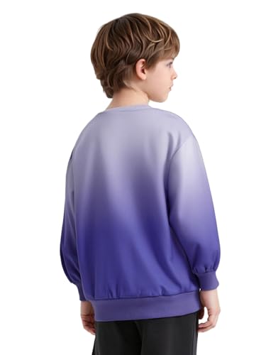 Kids Unisex Boys Girls Daily Casual Wear Fleece Pullover Gradient Color Long Sleeve Pullover Sweatshirt2