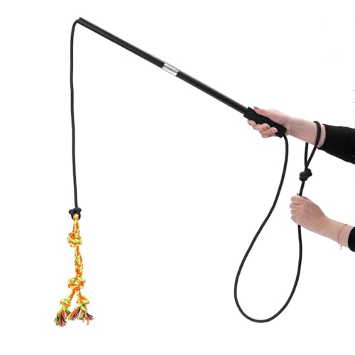 FXGJDeng Brinquedo interativo de mastro de paquera para cães perseguição e cabo de guerra, varinha p