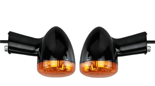 Intermitentes y luces traseras de freno para Sportster Iron 883 y XL1200 Forty-Eight
