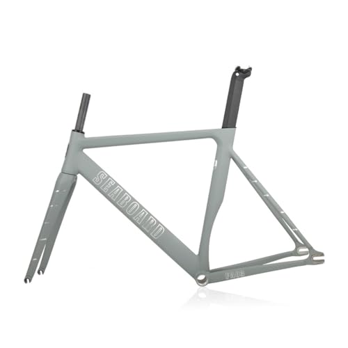 HWEVDHJ Fixed Gear Bike Frameset 52CM 55CM 58CM Track Bike Frame Aluminum Alloy Bicycle Frame C Brake Quick Release Frames 100/120mm QR(Gray White,55CM)