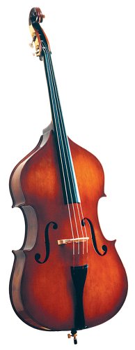 31IiEOORC5L.jpg