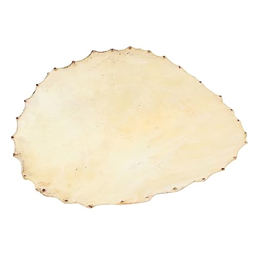 VICASKY Drum Skin Drum Head Material Drum Accessories Drum Cover Rawhide Synthetic Drum Replacement Accessories Membrane Drum Accessory Protector Drum Replacement Heads Sheepskin